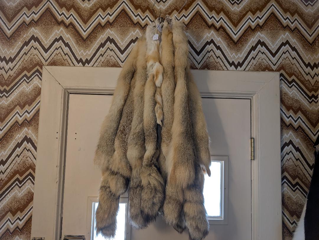 Kit Fox Pelt