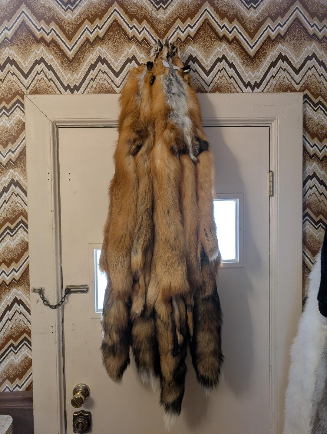 Red Fox Pelt