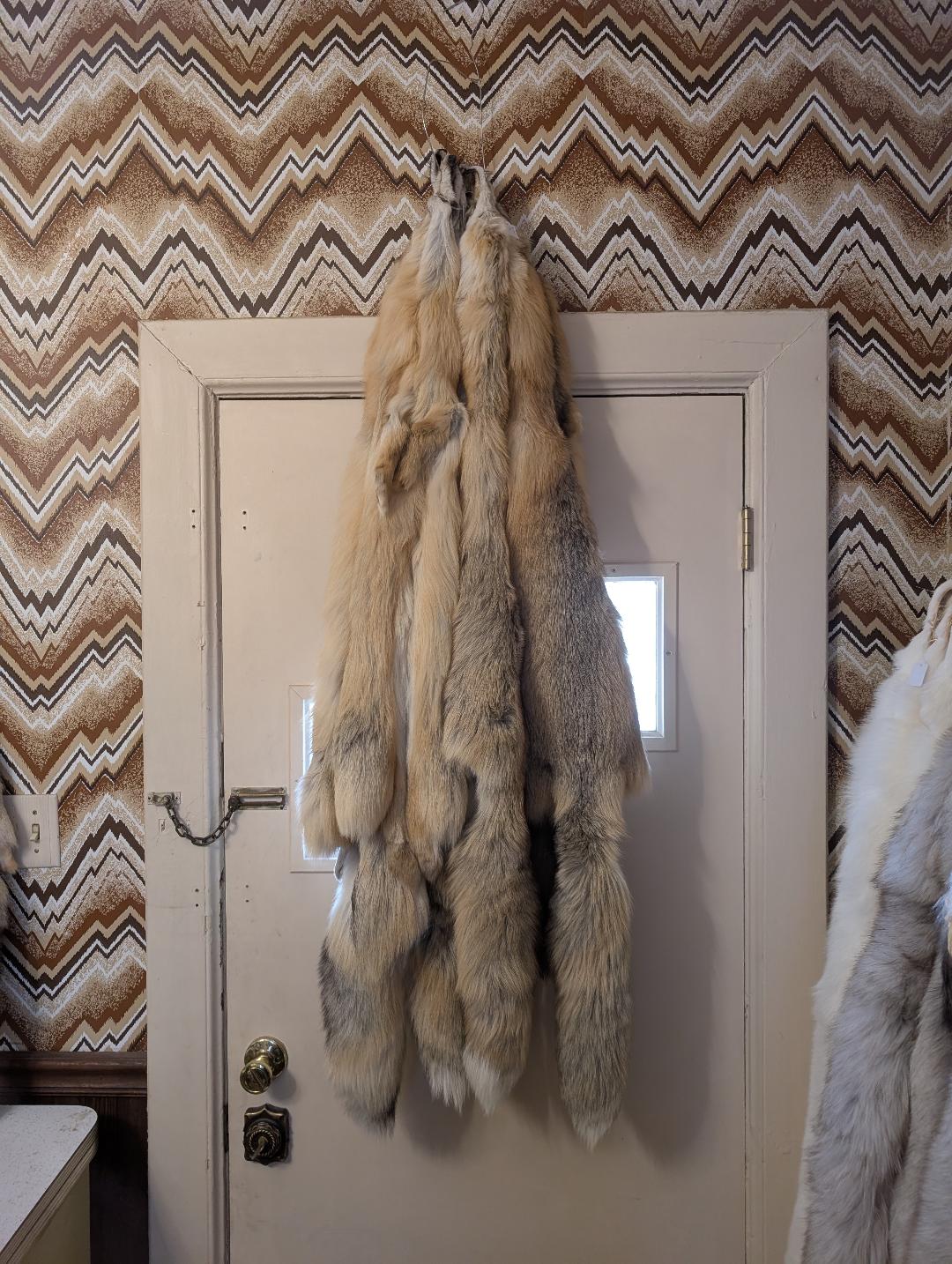 Golden Island Fox Pelt