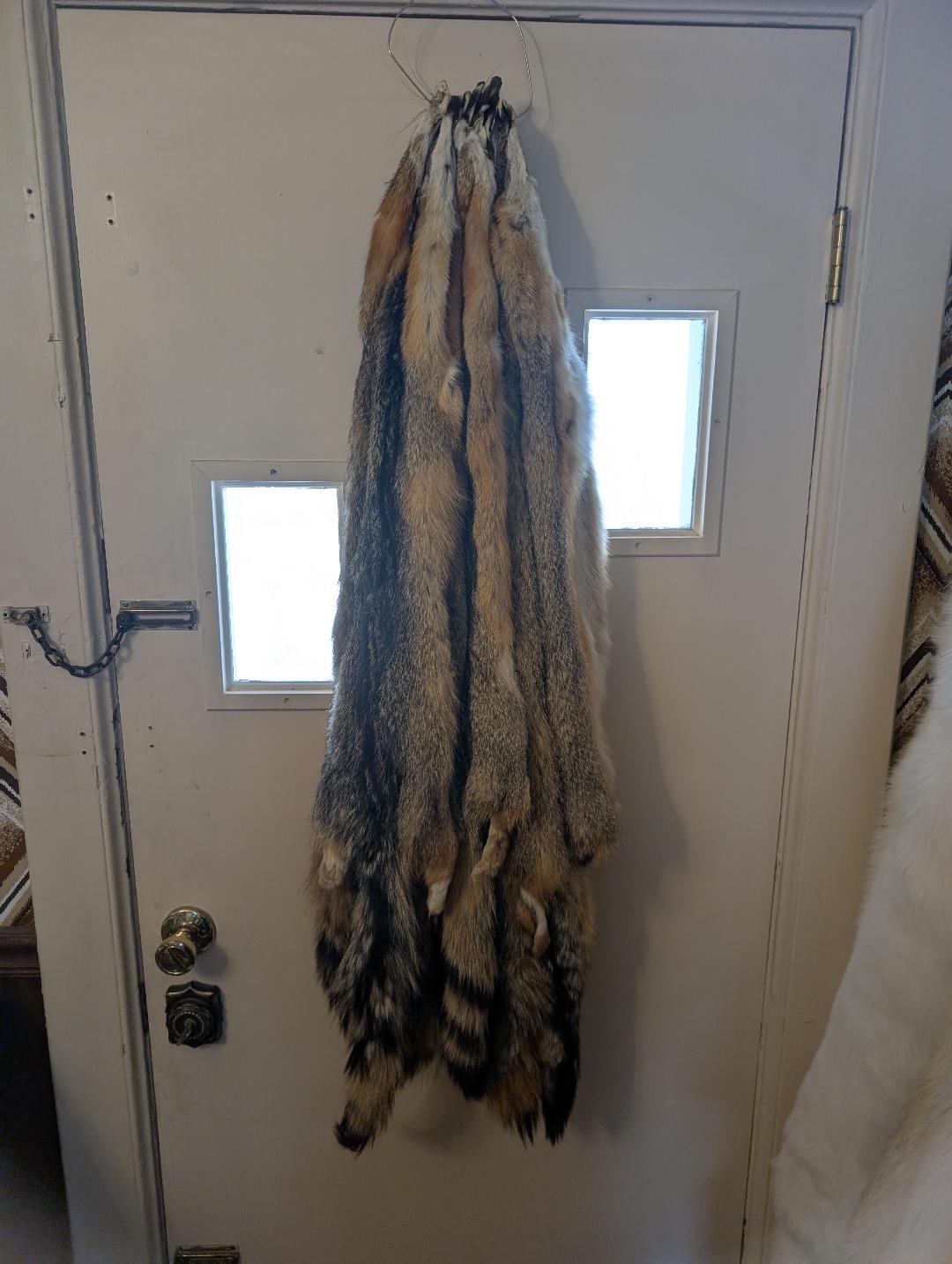Gray Fox Pelt