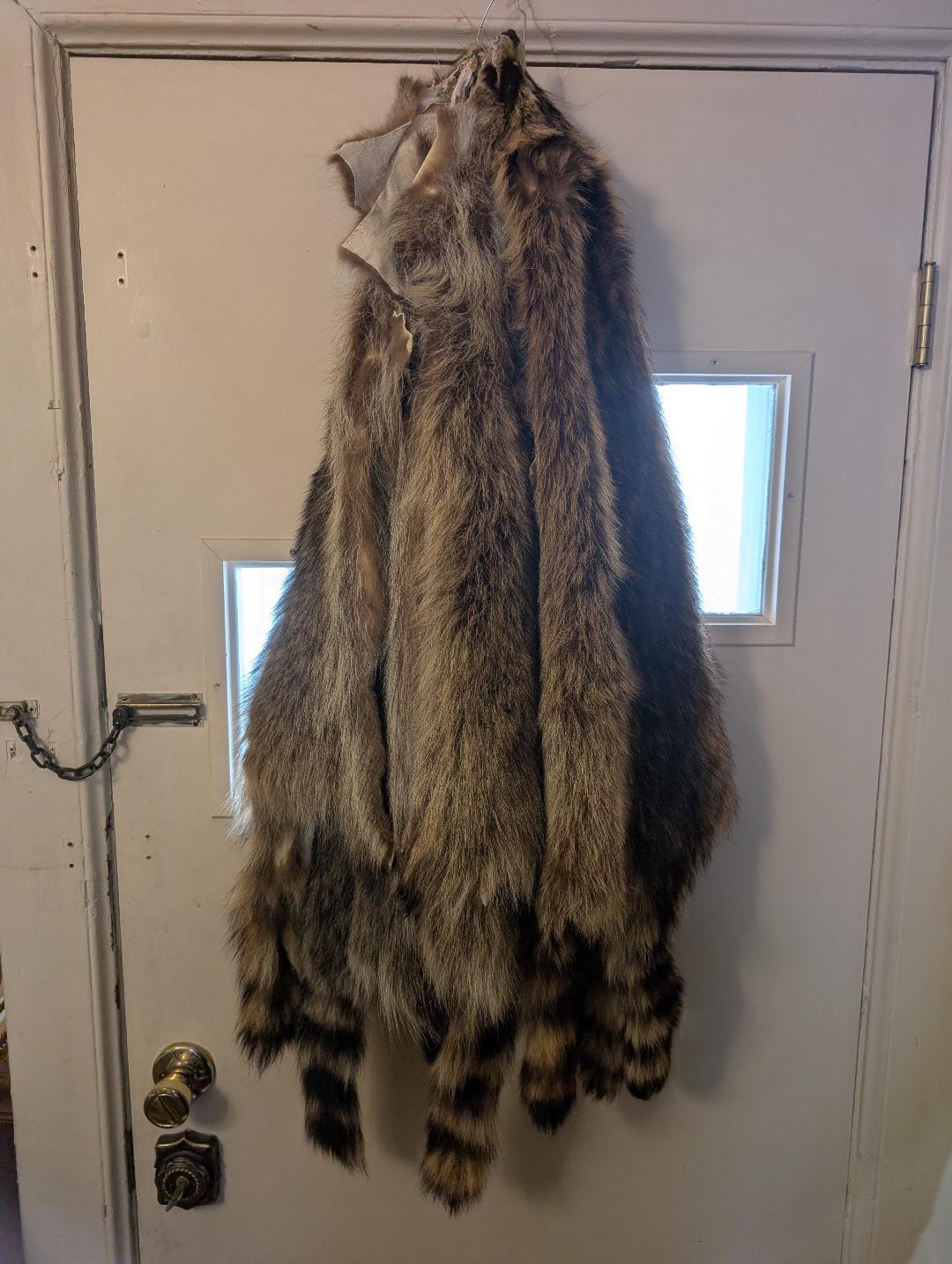 Raccoon Pelt